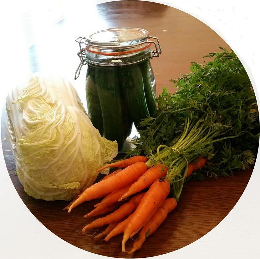 Start-up family business hoping to sell everything you need to create delicious fermented food in your own home.