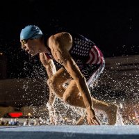 Tommy Zaferes🥑 (@tzaferes) Twitter profile photo