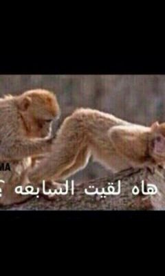 تابعني اتابعك ..                                                           الرياض.