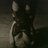 QueenOfCrazyUK's profile image