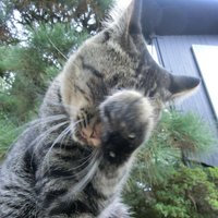 TaKai (@takai_1b) 's Twitter Profile