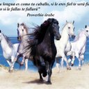 araceli arroyo - @ArachelAraceli - Twitter