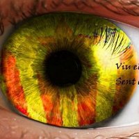 PereRF 🎗 Vull viure SOLAMENT en català (@pererf) 's Twitter Profile Photo