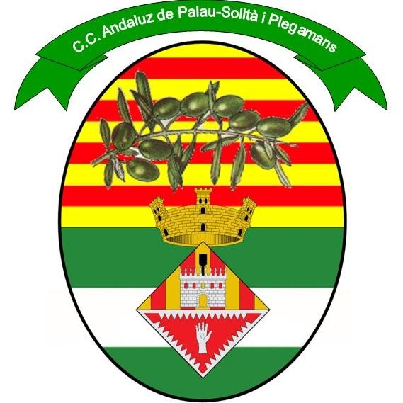 CCA Palau solita Plg