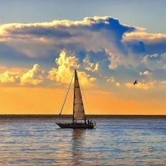 ca_r_lo's profile picture. 