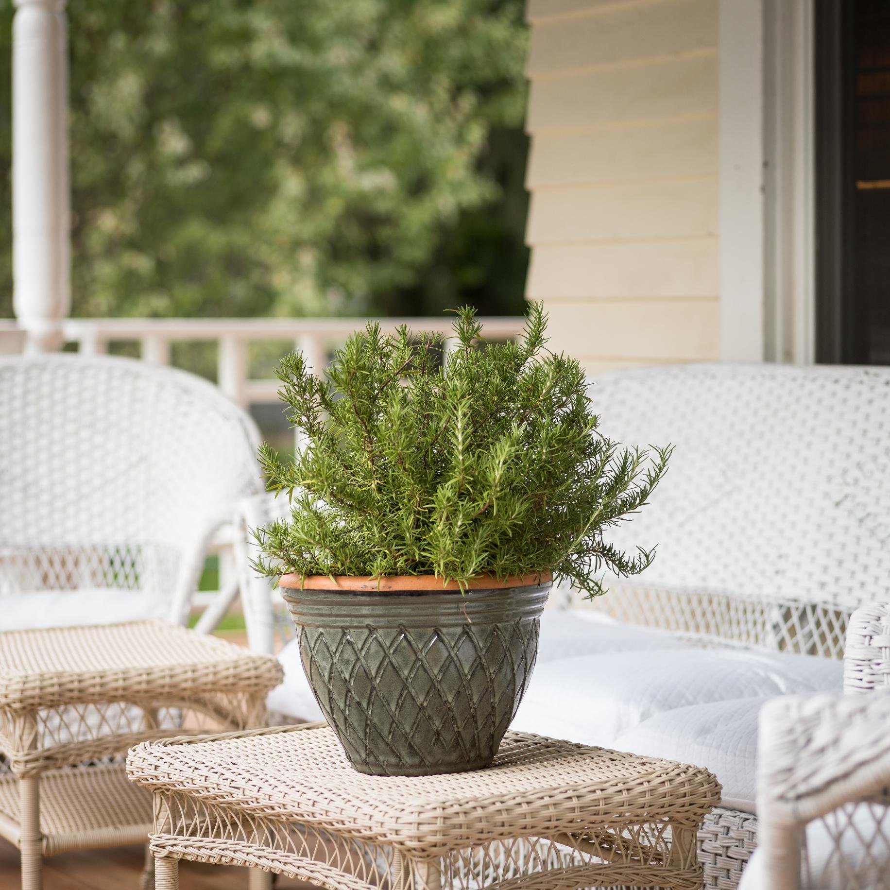 With stunning lake views, lush gardens , and a classic wrap-around porch, the Greenway House B&B is a relaxing retreat in the heart heart of Green Lake, WI