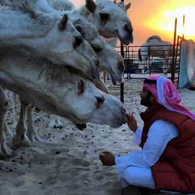 ‏‏‏أنا اهواك؟ لين اخر حياتي بعيشه معاك ❤