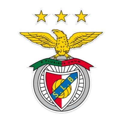 الحساب العربي الاول لـ عشاق نادي بنفيكا البرتغالي - Conta Árabe do primeiro clube Português adeptos do Benfica