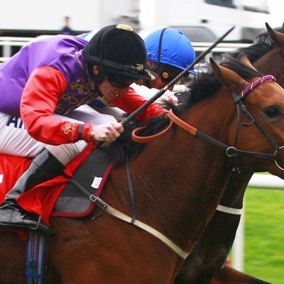 Daily Horse Racing Tips Uk,Ireland Man United
