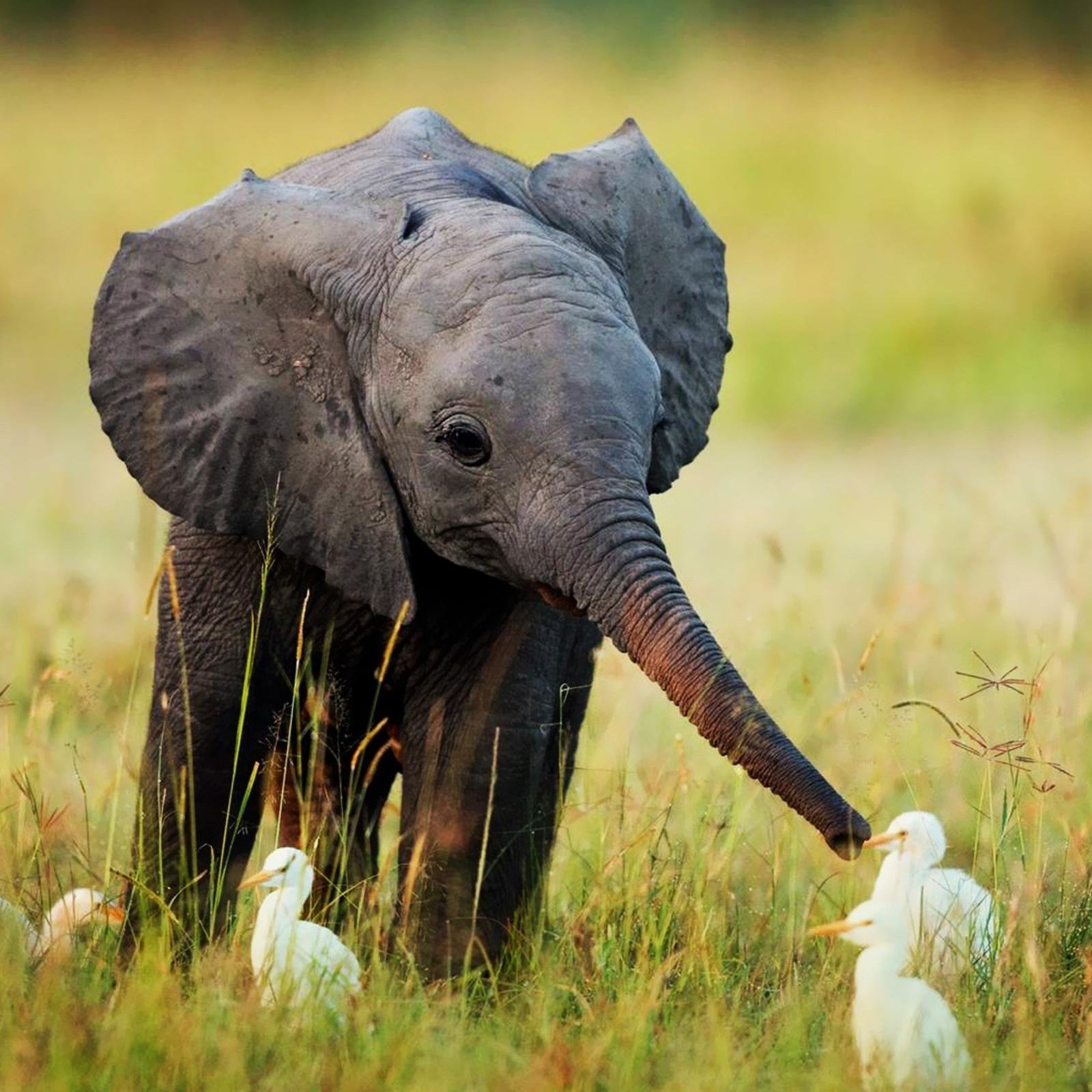 News about the Natural World