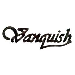 VanquishGuitars Profile Picture