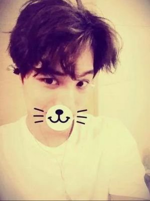 Mis 12 gheis. ♡ | Llave divosa. | Donkey. | Babeando y llorando arco iris. | Silence. | 19. Adora a Adara. | Odio infinito hacia Kim. Fucking. JongIn.