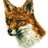 fox_pub's profile image