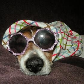 millicini's profile picture. 