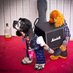 Spanish Breeder Test (@spanishbreeder) Twitter profile photo Spanish Breeder Test (@spanishbreeder) Twitter profile photo