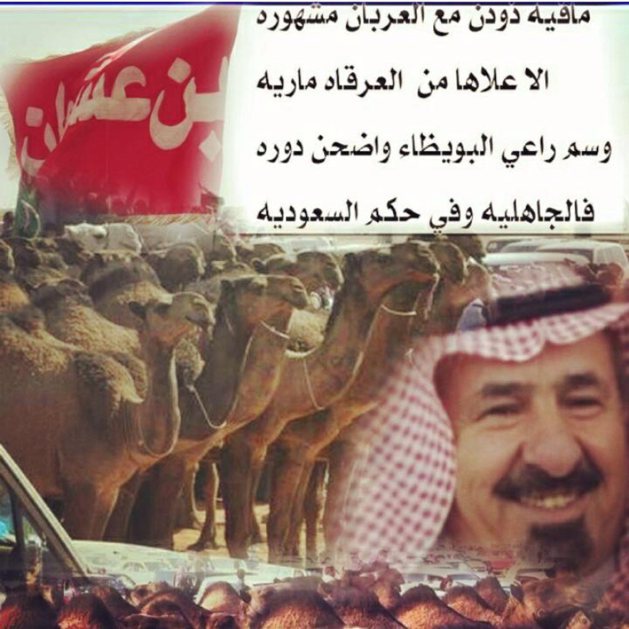 Mshaaryq8's profile picture. 