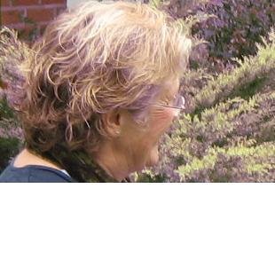 SusieEvershed's profile picture. 