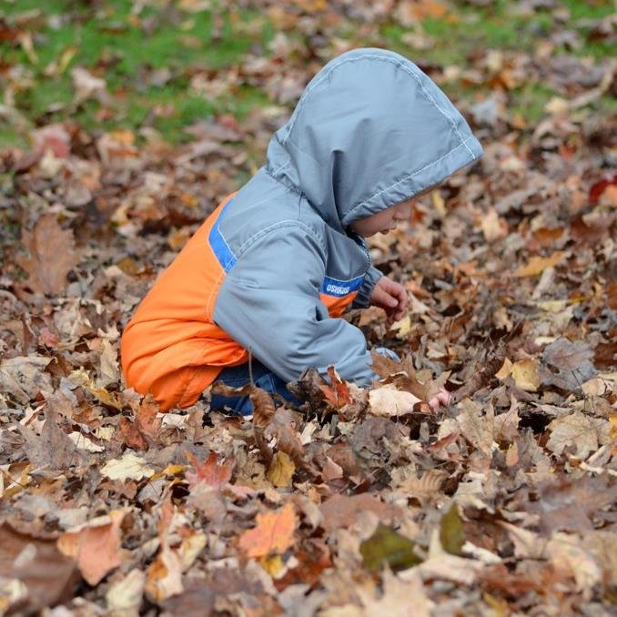 ToddlerTruth's profile picture. 