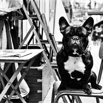 Antique dealers from the past 20 years are expanding their professional international profile on the web with a new website https://t.co/hywdSwOMH7 Stephane.