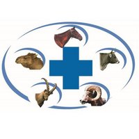 Амьтдын эмч / Dr Veterinary (@drveterinarymn) 's Twitter Profile
