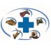 Амьтдын эмч / Dr Veterinary (@drveterinarymn) Twitter profile photo