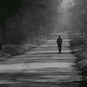 westjava27's profile picture. Lihat bintang-bintang, bulan, dan matahari, bergerak dalam hening. Kita perlu keheningan untuk bisa menyentuh jiwa...tidak usah di folback,  akun rakyat biasa.