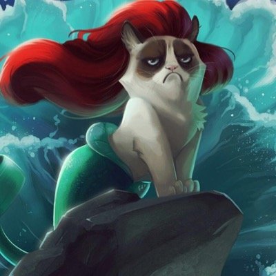 IDMtocelebs's profile picture. 1R, The Script, 1D, 5SOS, M5, American Authors, Train,