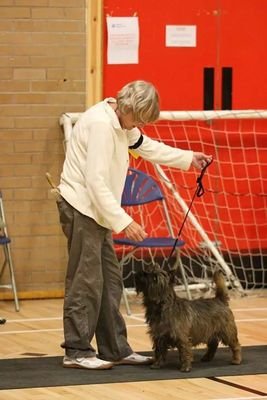 SheonaFortune's profile picture. 