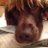 PamelaPowis's profile image