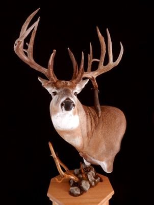 Husdband and Father of three beautiful girls. Bow hunter, Marathon runner,  Journeyman Tool maker.