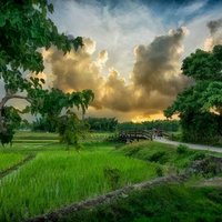 Sajid faraz (@sajidfaraz73) 's Twitter Profile