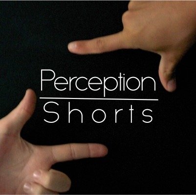 perceptionshort's profile picture. Your life through our lens. Feel free to get in touch if you want a video produced!