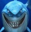 DarlingShark's profile picture. 