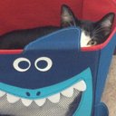 Anne Hebert - @Hannasaurus42 - Twitter