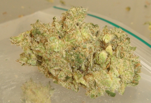 DailyChronic Profile Picture