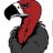 VultureEquip's profile image