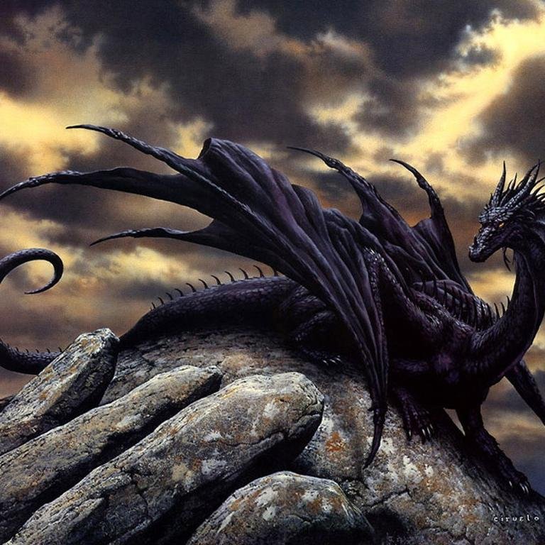 jesskr14's profile picture. 