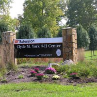 Clyde York 4H Center (@clydeyork4hctr) 's Twitter Profile