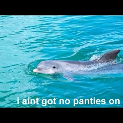 slutchips's profile picture. i ain't got no panties on