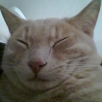 Comgypsy (@comgypsytwit) 's Twitter Profile Photo Comgypsy (@comgypsytwit) 's Twitter Profile Photo