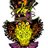 MadHatterGuitar's profile image
