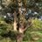 outdoorRHS's profile image