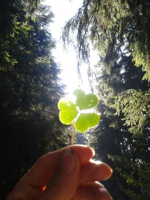 434b64304cd9488's profile picture. YouTube das beste was es mit Welt erfunden wurde  :)