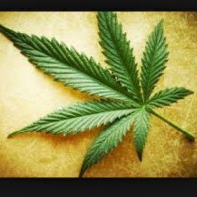 stonerzparadice's profile picture. Light that shit up & spread the love ☮