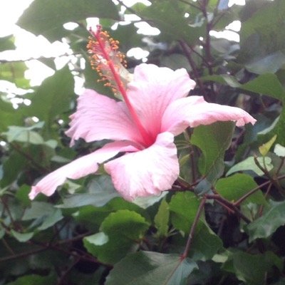 faten_tn's profile picture. 