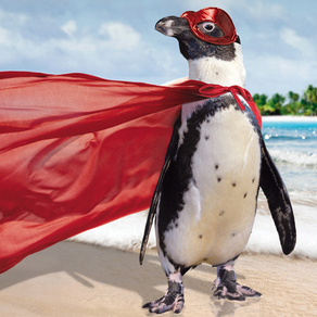 RmyVssr's profile picture. 