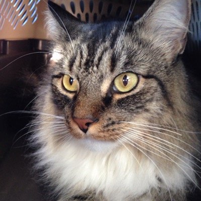 Manning7W's profile picture. 