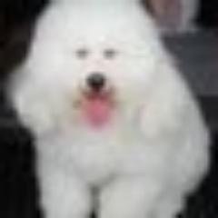 PTSwi's profile picture. S♡NE GIRLS' GENERATION 소녀시대