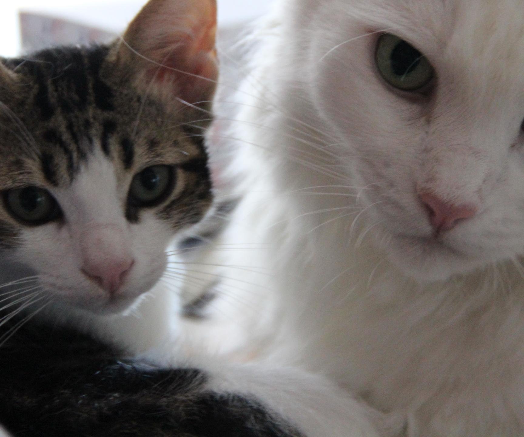 gasparebennici's profile picture. 