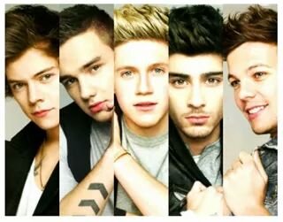 I love louis,liam,zayn,niall and harry.One direction my life and directioner 4ever